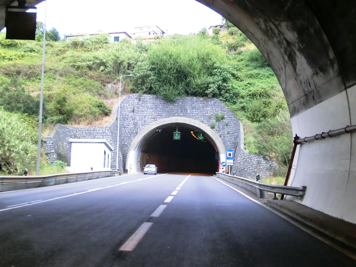 Tunnel de Nogueira 