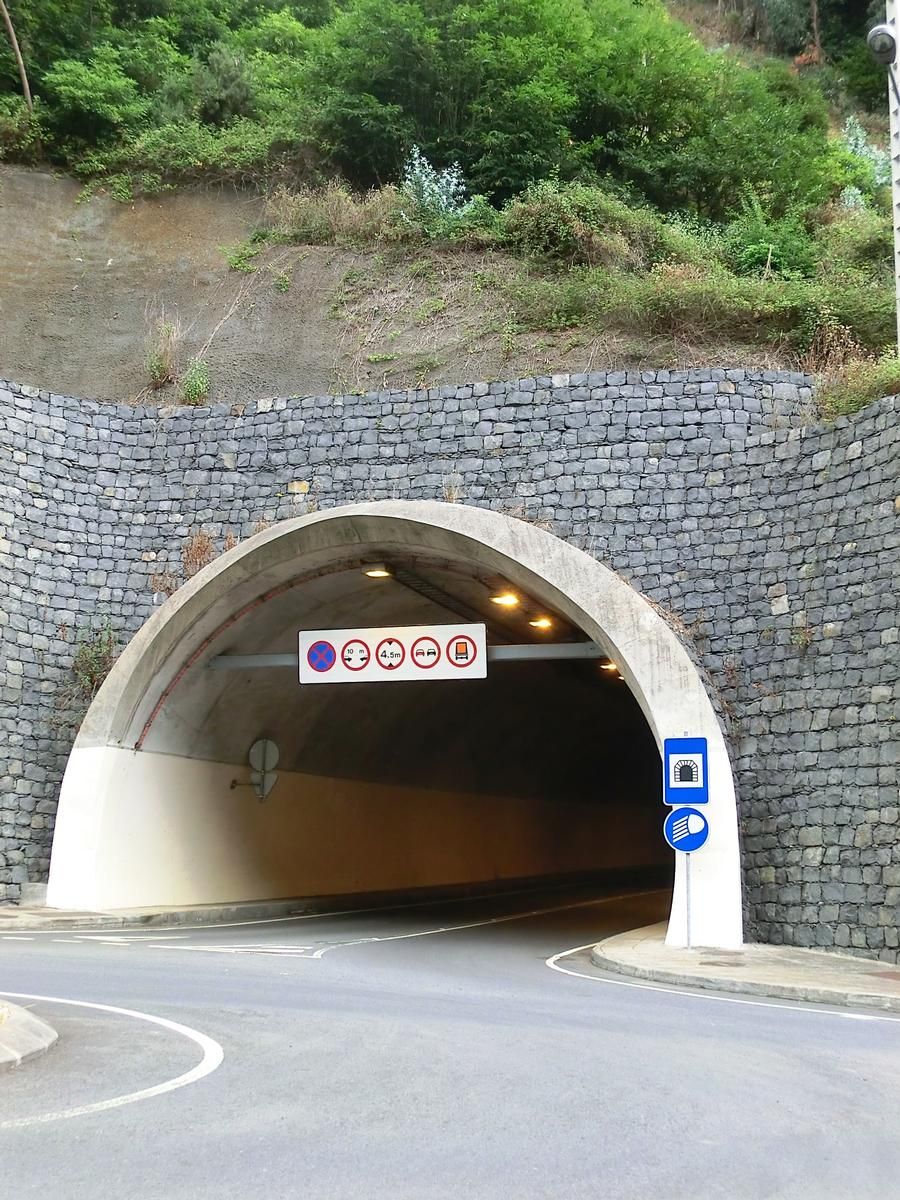 Vasco Gil Tunnel western portal 