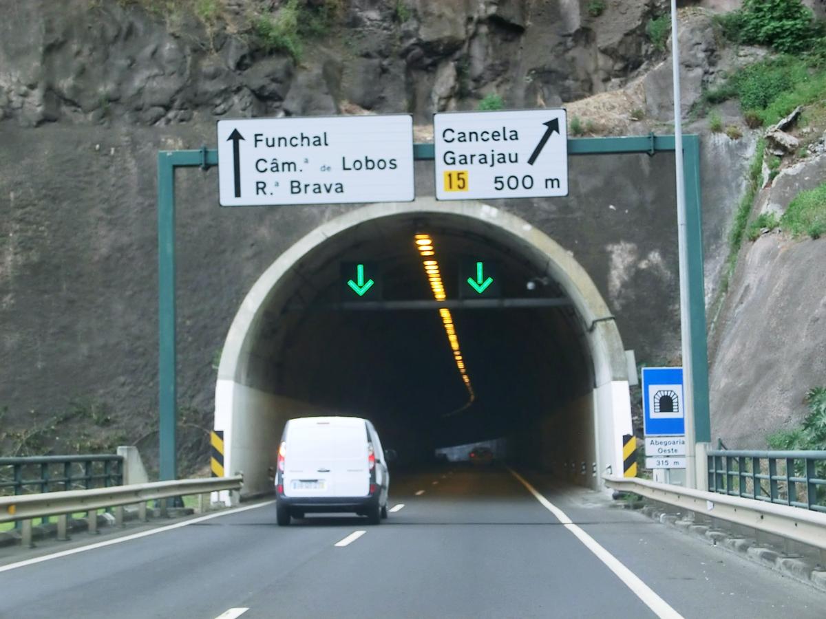 Abegoaria West Tunnel eastern portal 