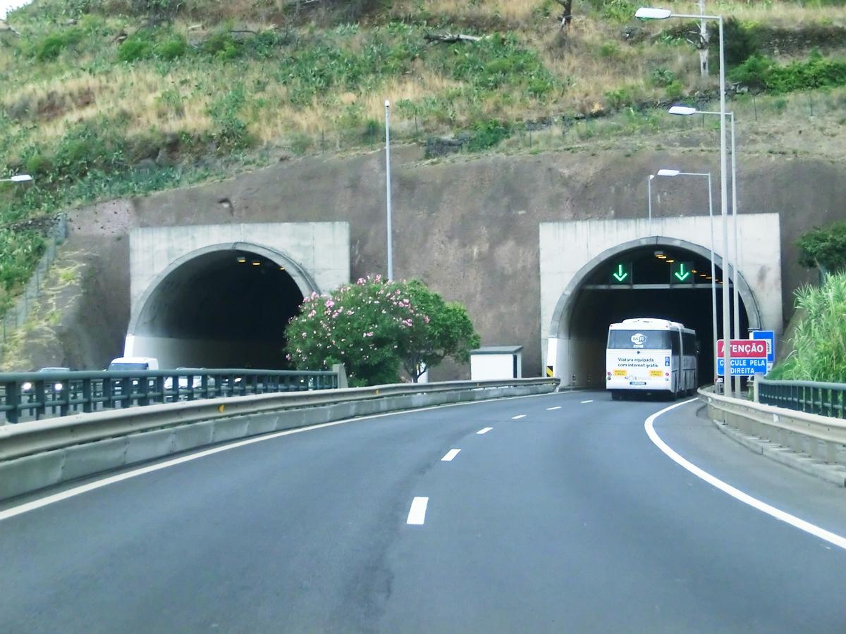 Cancela Tunnel eastern portals 