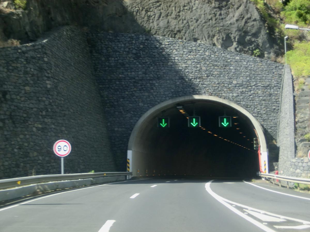 Double Caniçal Tunnel eastern portal 
