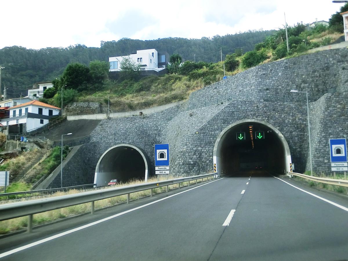 Fazenda Tunnel eastern portals 
