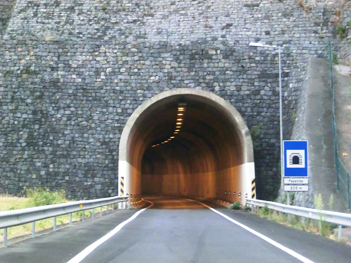 Tunnel de la sortie de Fazenda 
