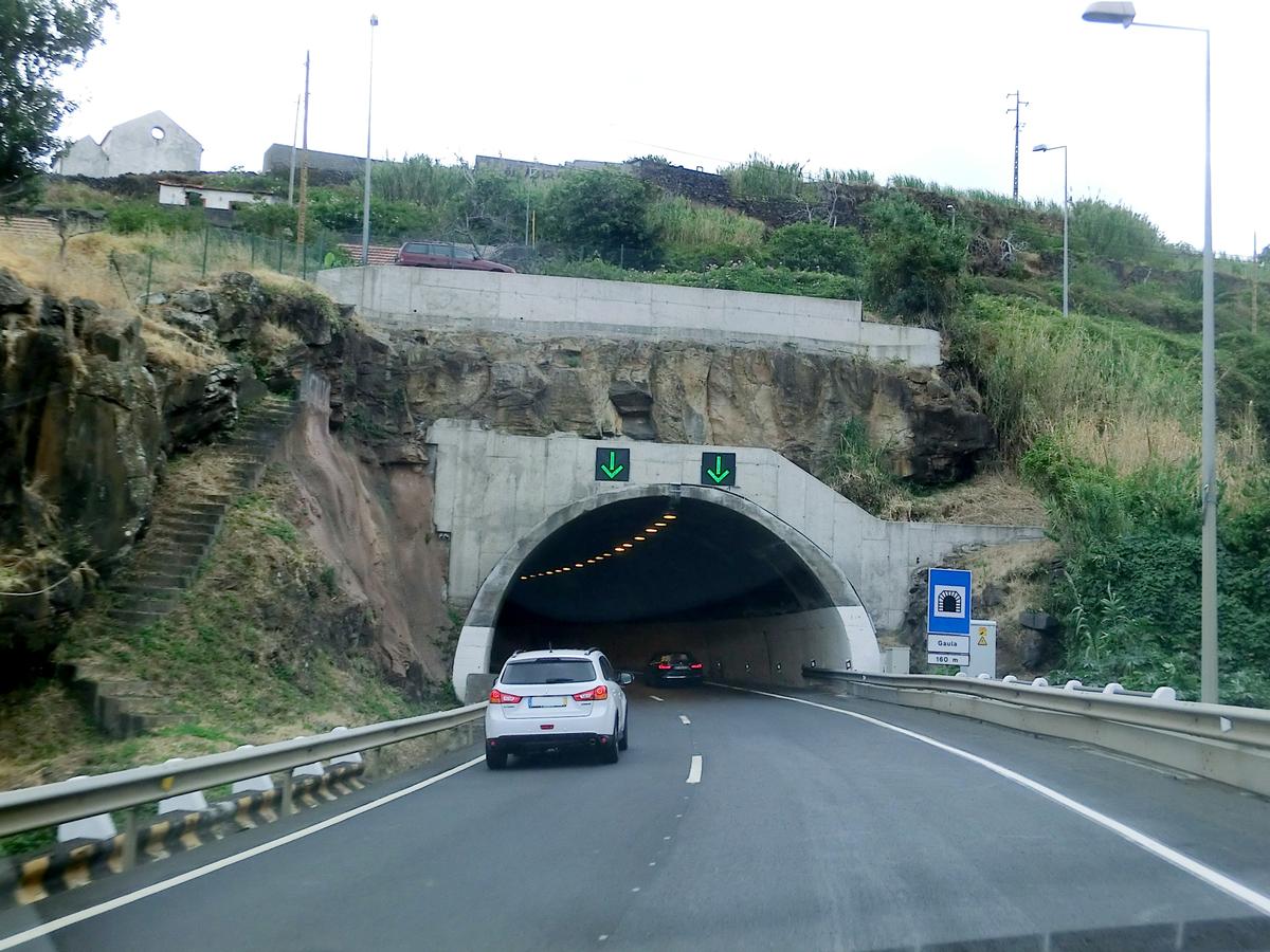 Tunnel de Gaula 