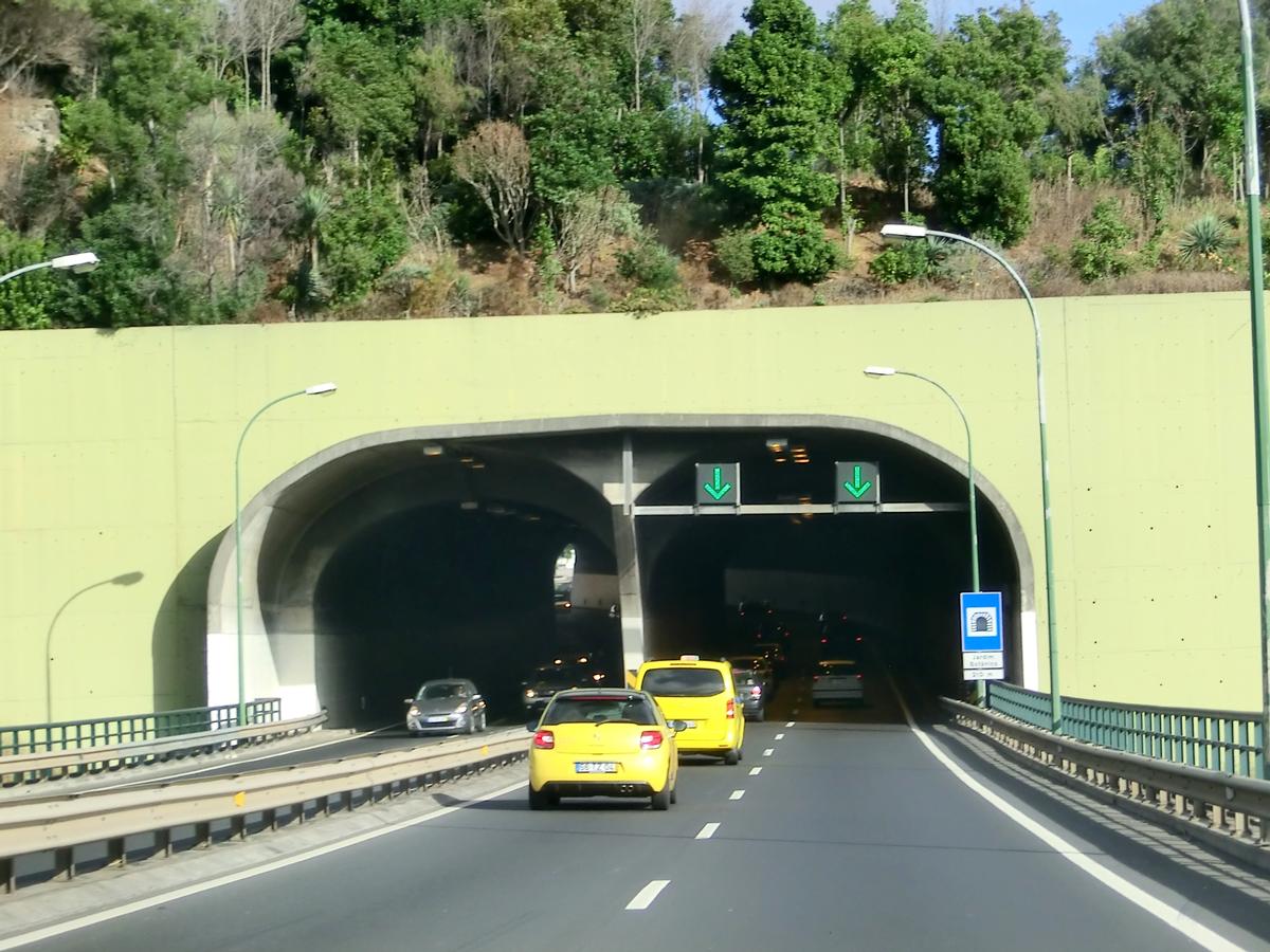 Jardim Botânico Tunnel western portals 
