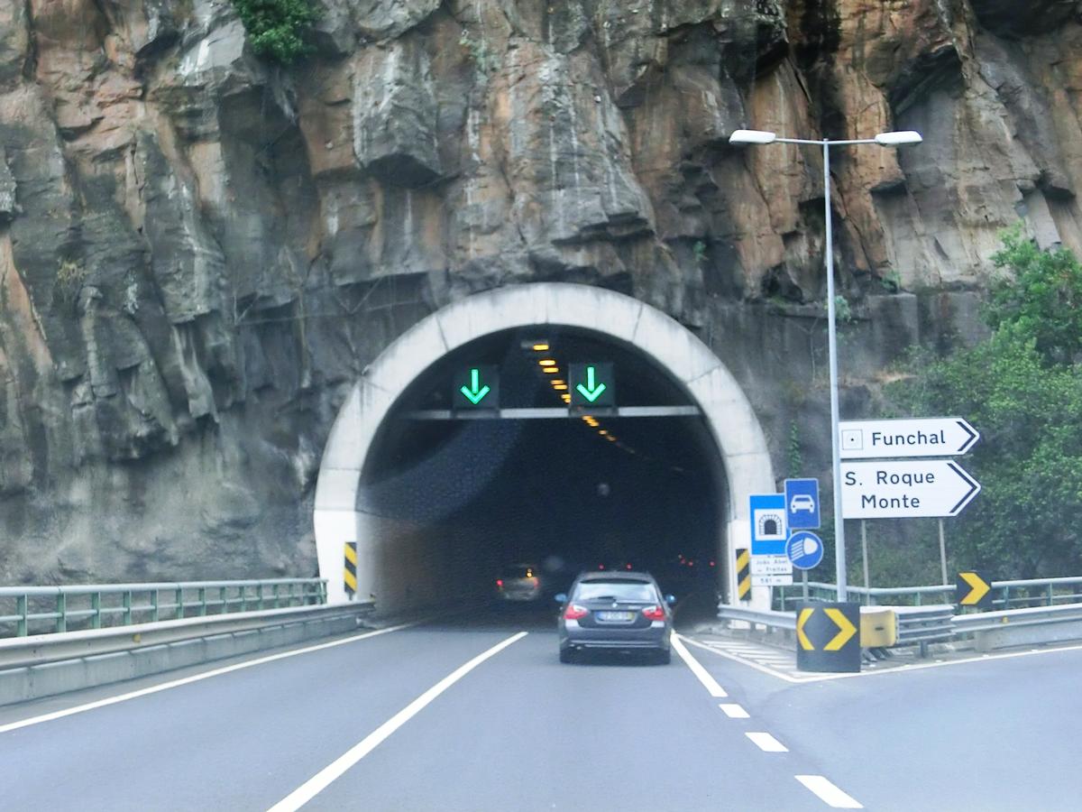 Tunnel João Abel de Freitas 