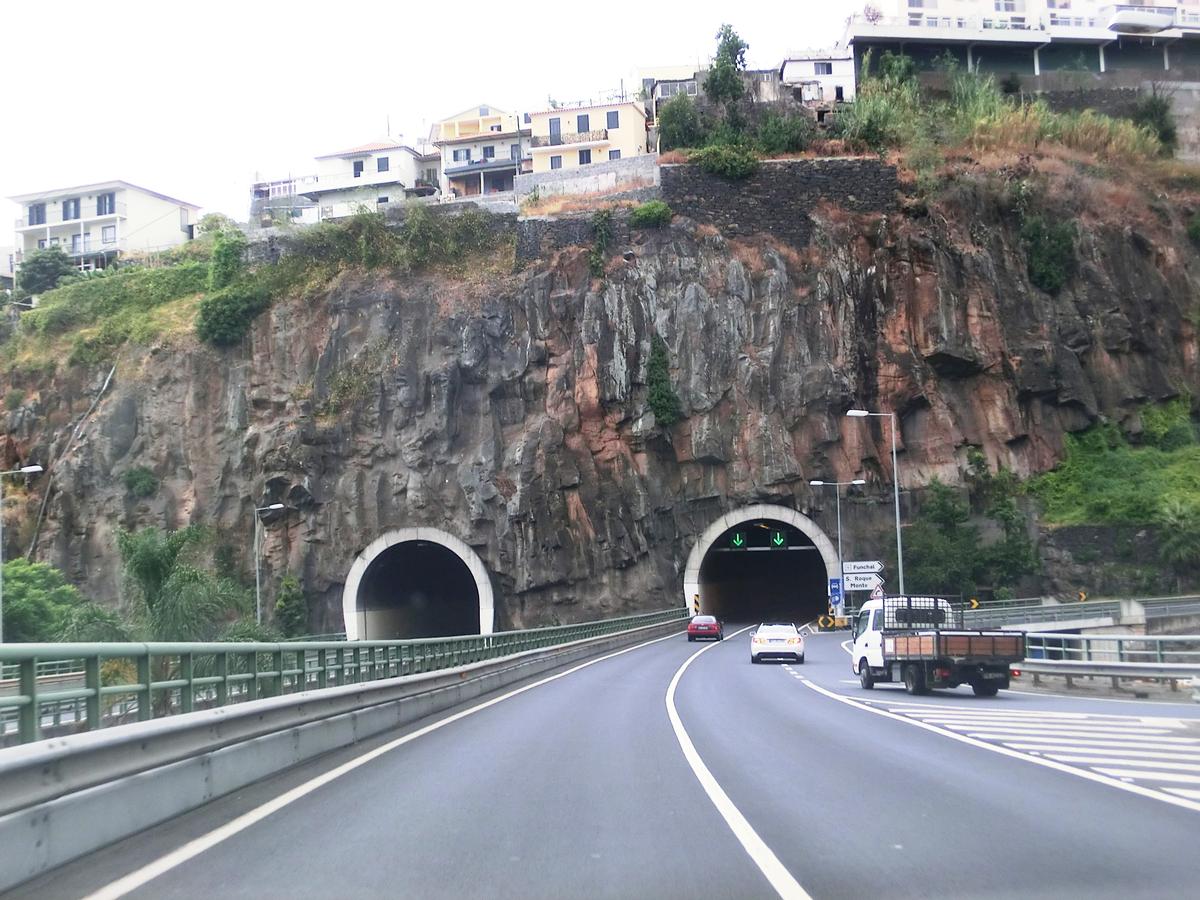 João Abel de Freitas Tunnel eastern portals and S.Luzia Bridge 