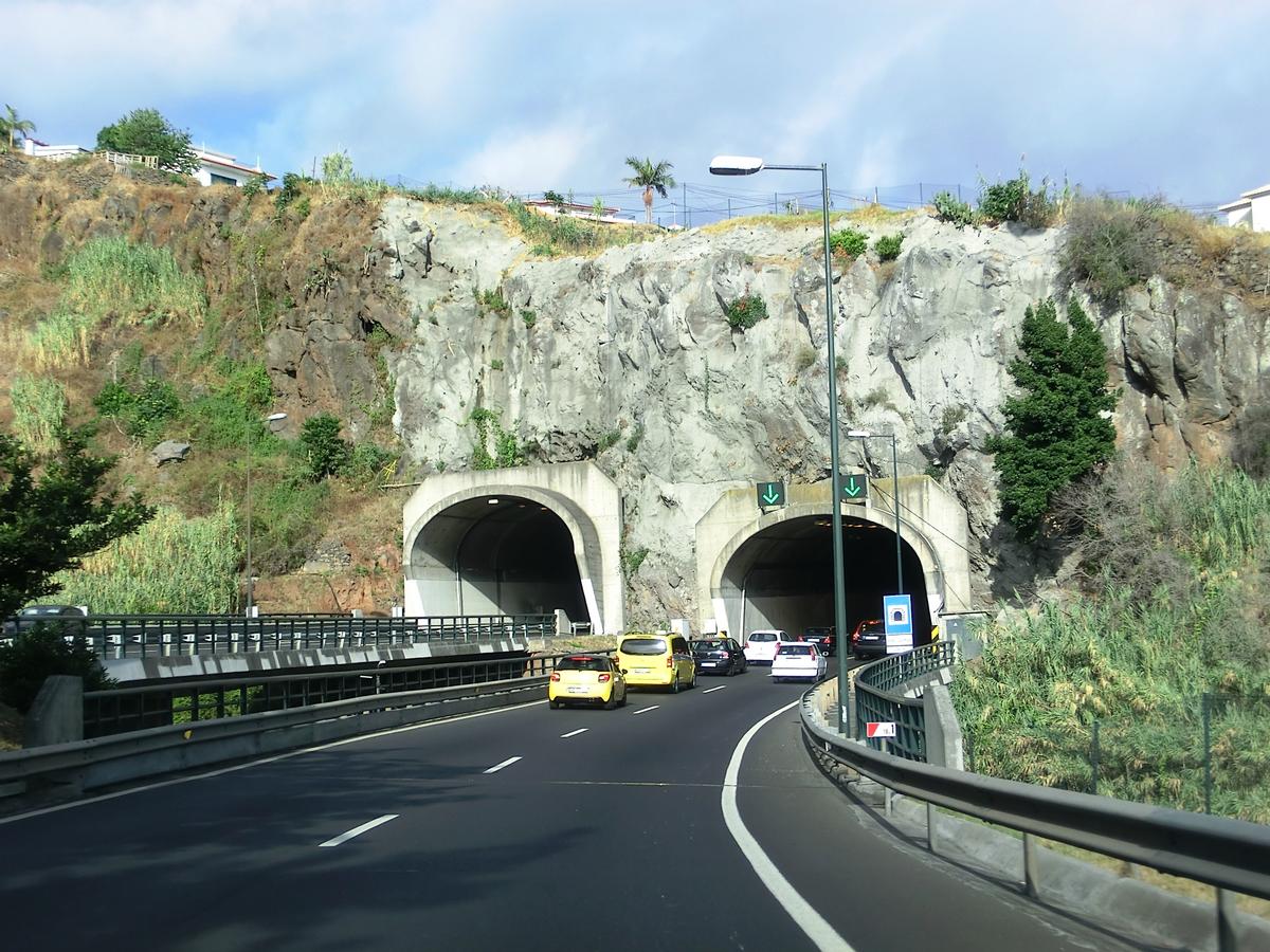 João Gomes Tunnel western portals 
