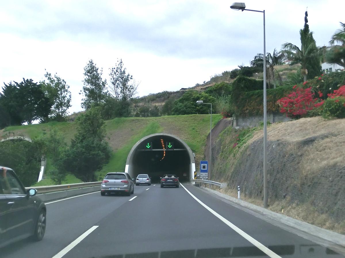 Mãe de Deus Tunnel eastern portals 