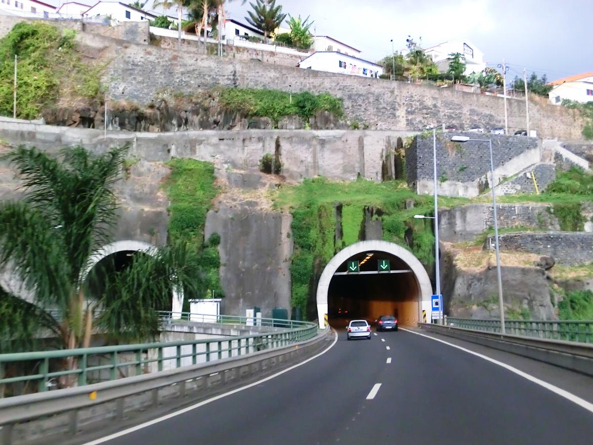 Marmeleiros Tunnel western portals 