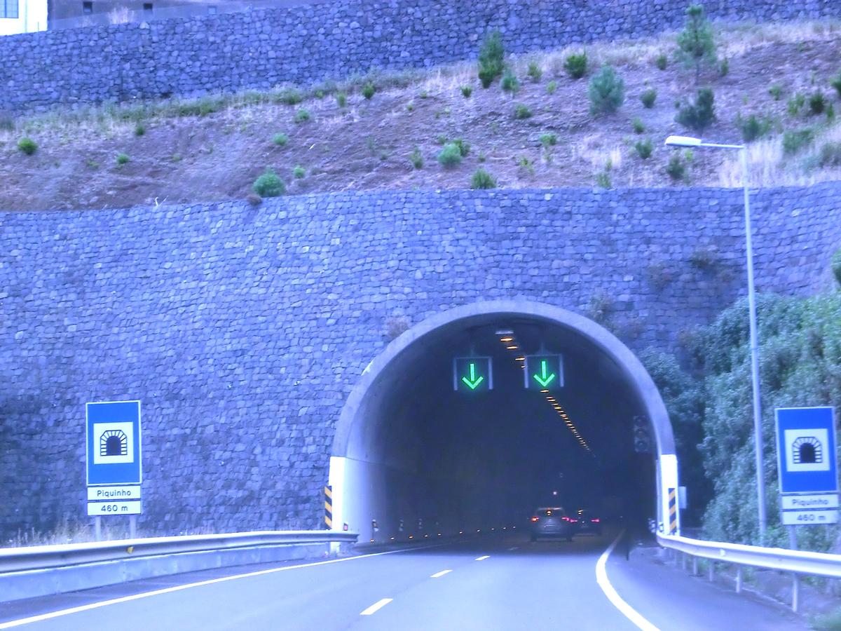 Piquinho Tunnel northern portals 