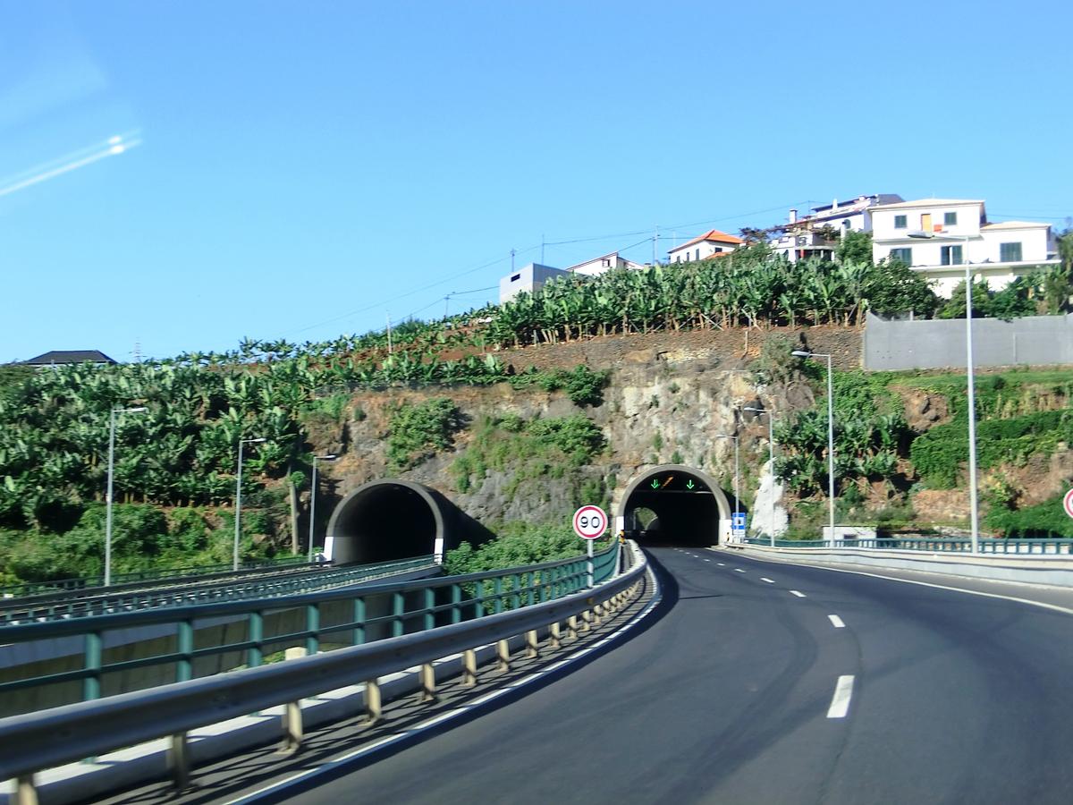 Preces Tunnel eastern portals 