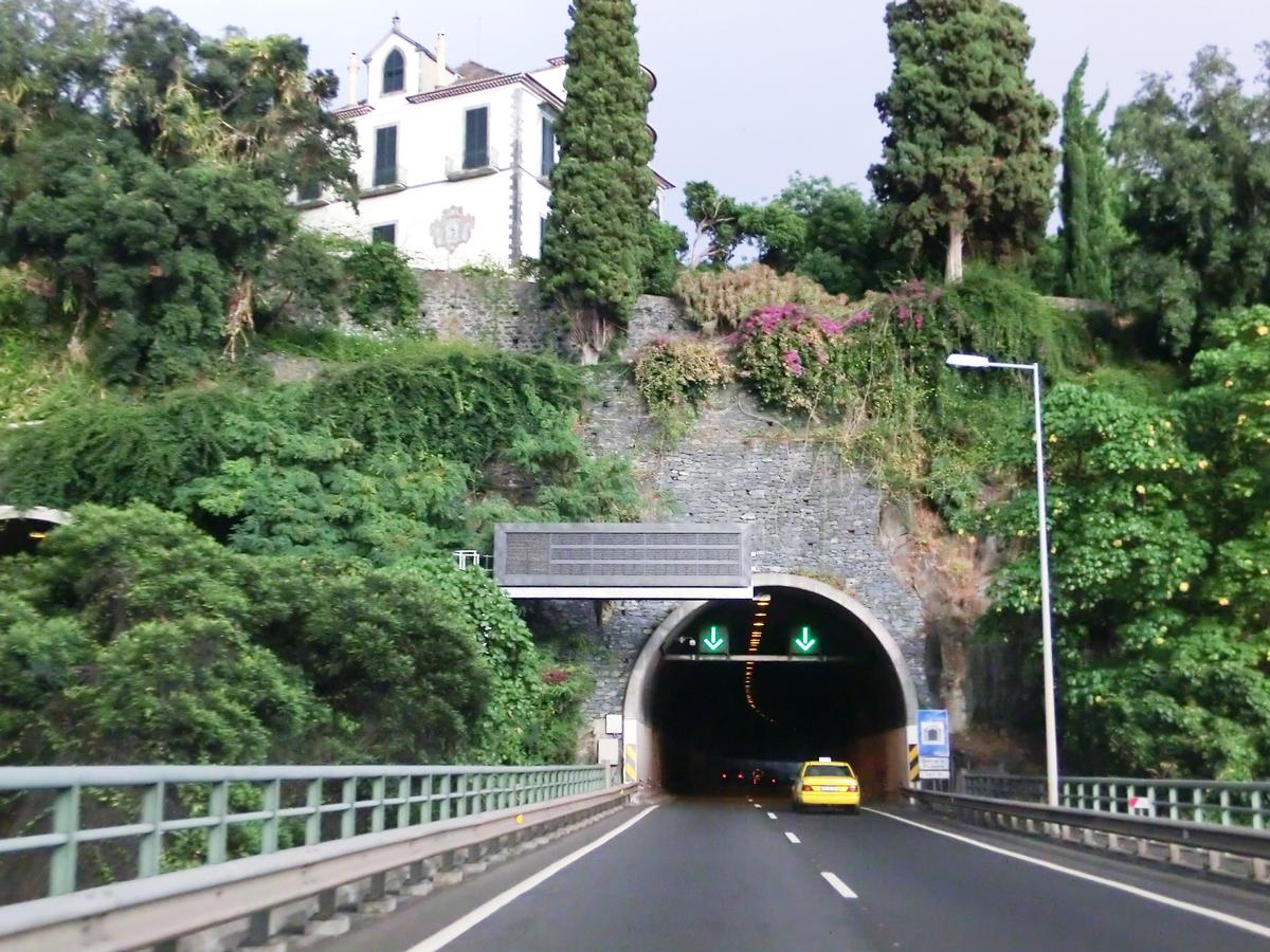 Tunnel Quinta da Palmeira 