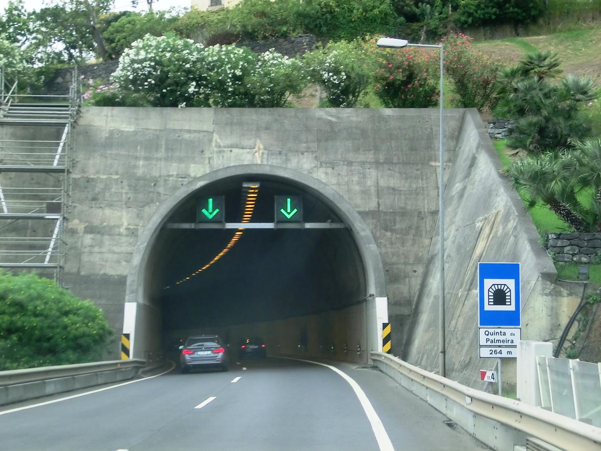 Quinta da Palmeira Tunnel western portal 