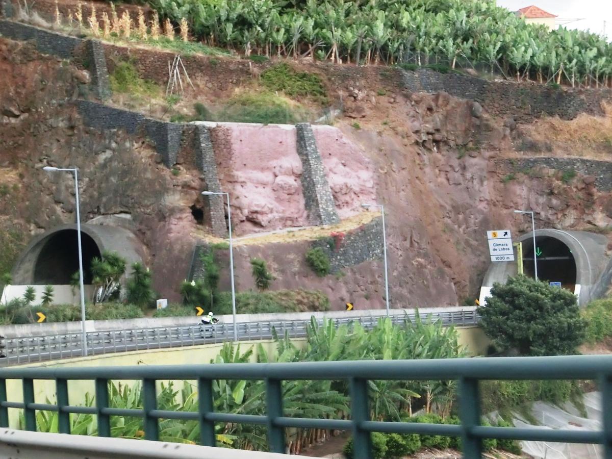 Quinta do Leme Tunnel western portals 