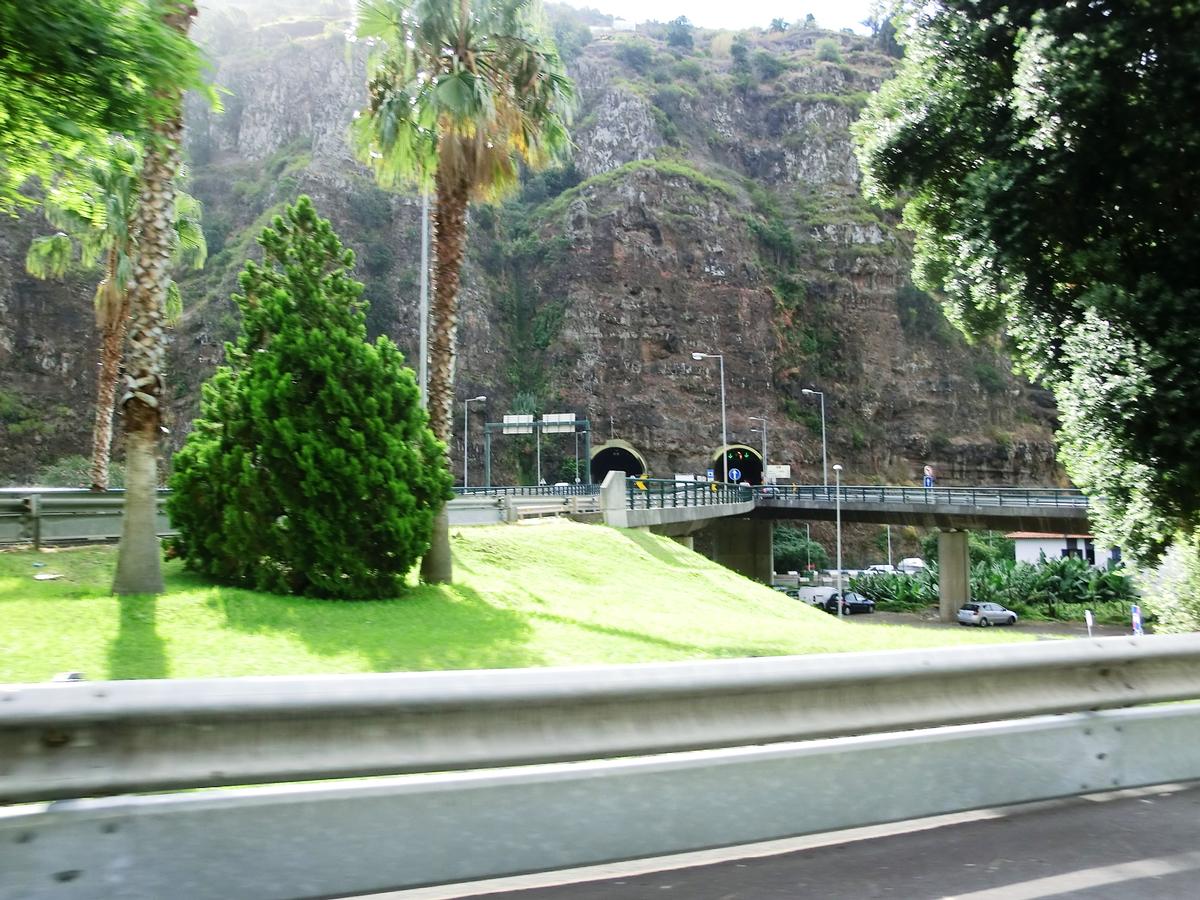 Ribeira Brava Tunnel western portals 