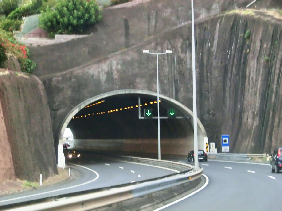 Santa Cruz West Tunnel southern portal 