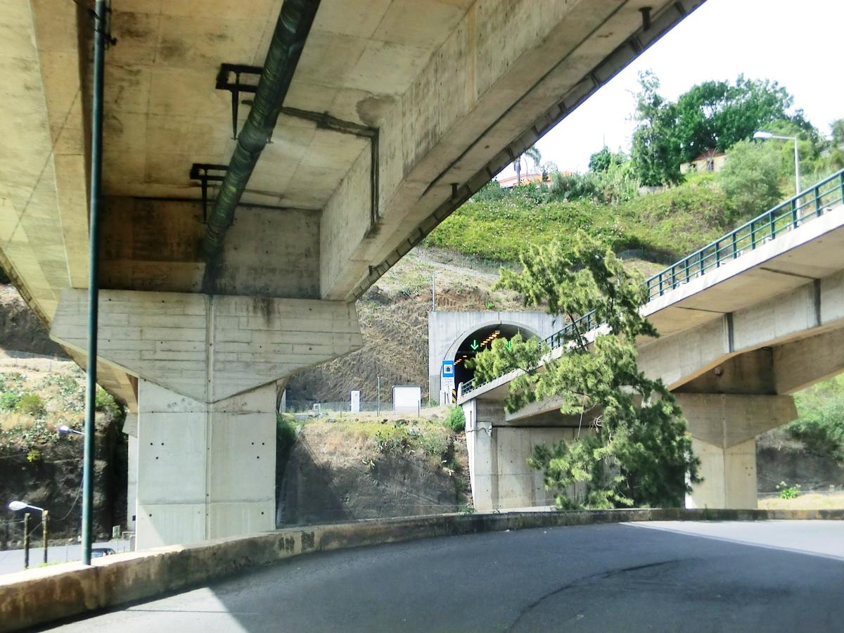 Pinheiro Grande Bridge and Pinheiro Grande Tunnel eastern portal 