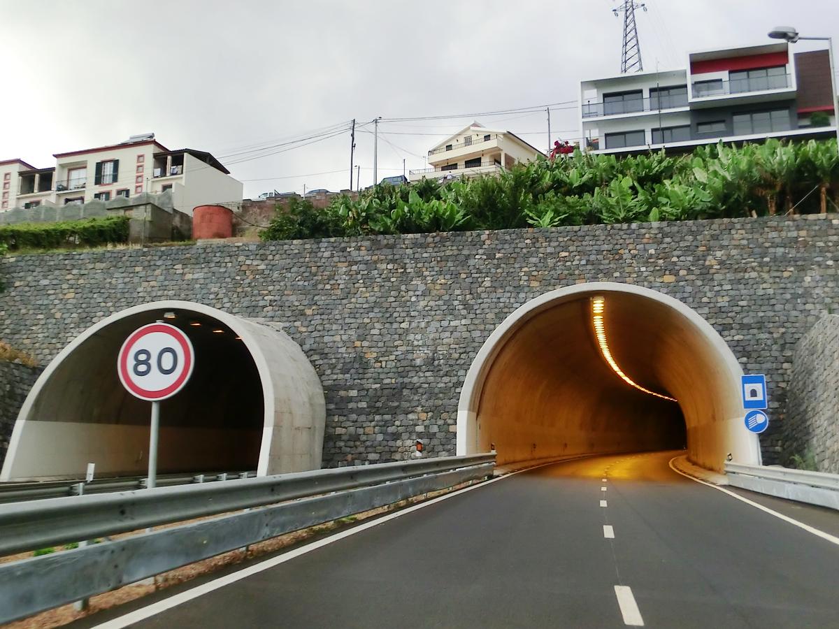 Ribeiro Real Tunnel southern portals 