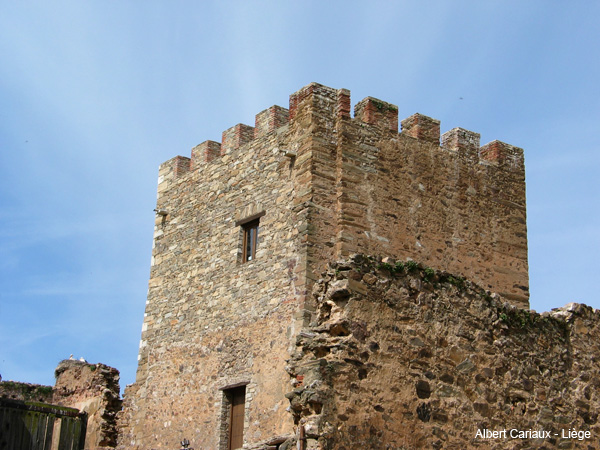 Structurae [en]: Alija del Infantado Castle