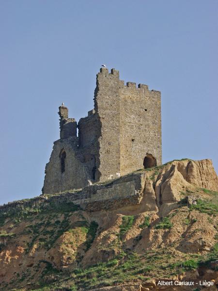 Cea Castle 