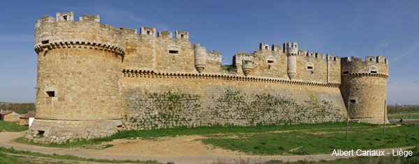 Château de Grajal de Campos 