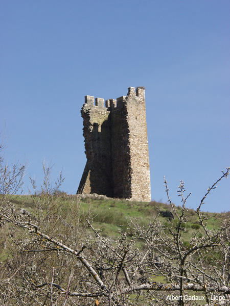 Tapia de la Ribera Tower 