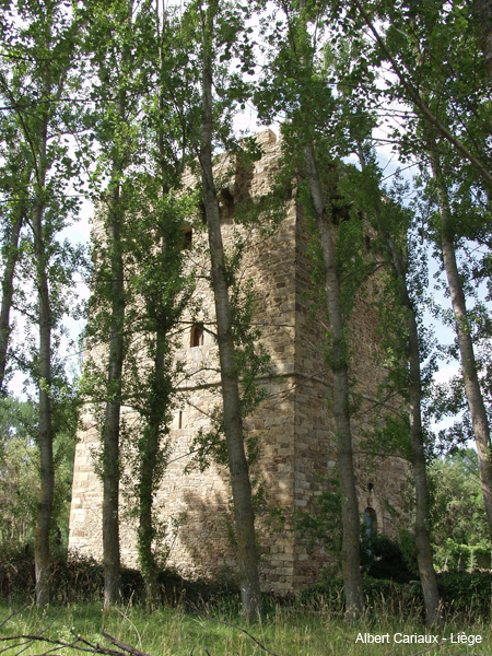 Turm der Osorio, Turienzo 