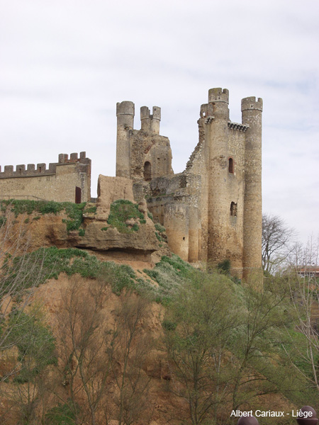 Coyanza Castle, Valencia de Don Juan 