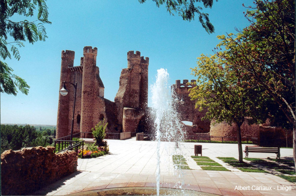 Château de Coyanza, Valencia de Don Juan 