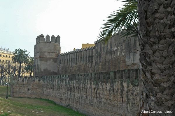 Remparts de Seville 