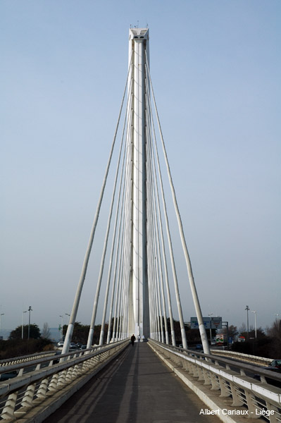 Pont d'Alamillo, Seville 
