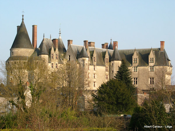 Langeais Castle 