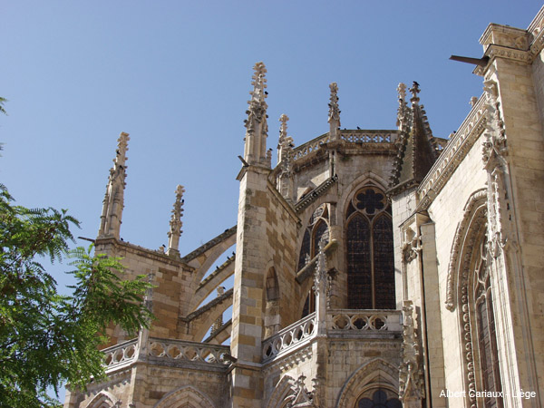 Cathédrale de León 