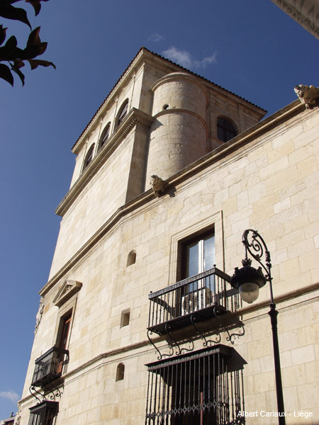 Palacio de los Guzmanes, León 
