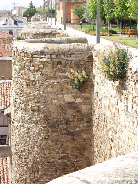 Astorga City Walls 