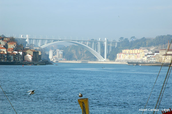 Pont Arrábida, Porto 