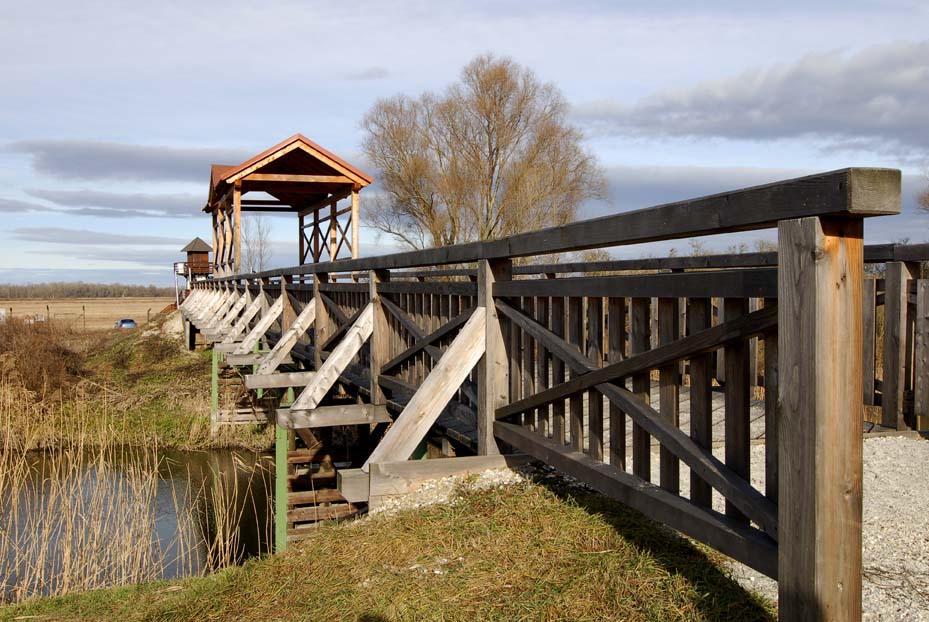 Andau Bridge 