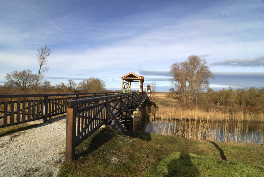 Brücke von Andau 