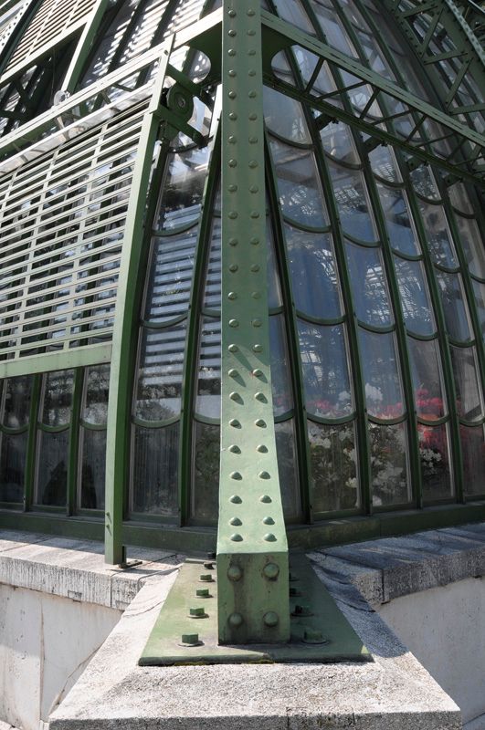 Palmenhaus 