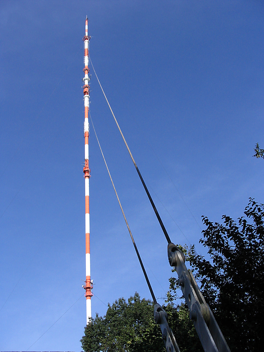 Steinkimmen Transmitter 