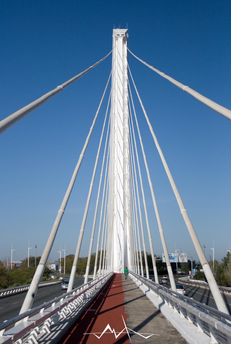 Séville - Pont d'Alamillo 