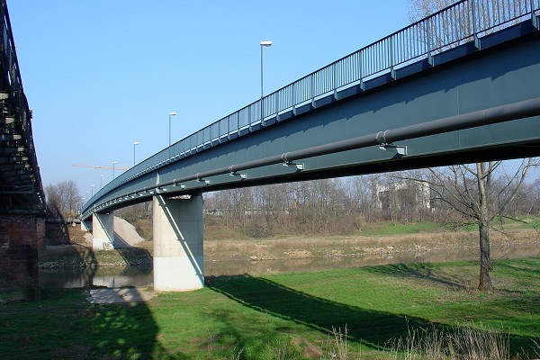 Riedbahnsteg (Mannheim) 