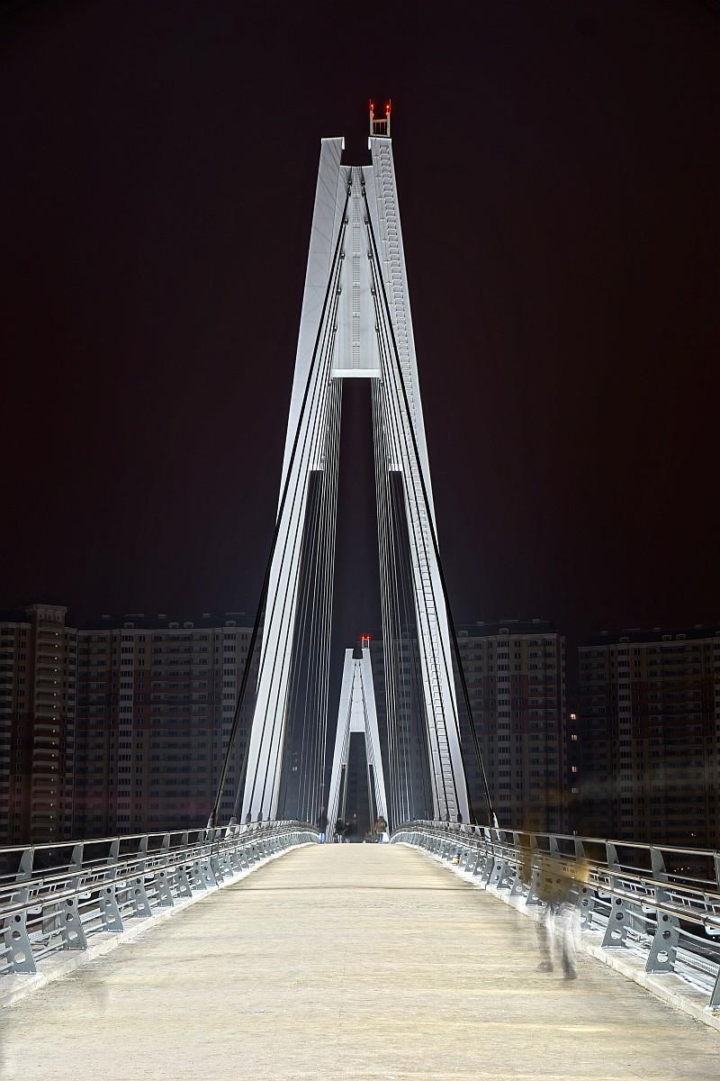 Myakinino Footbridge 