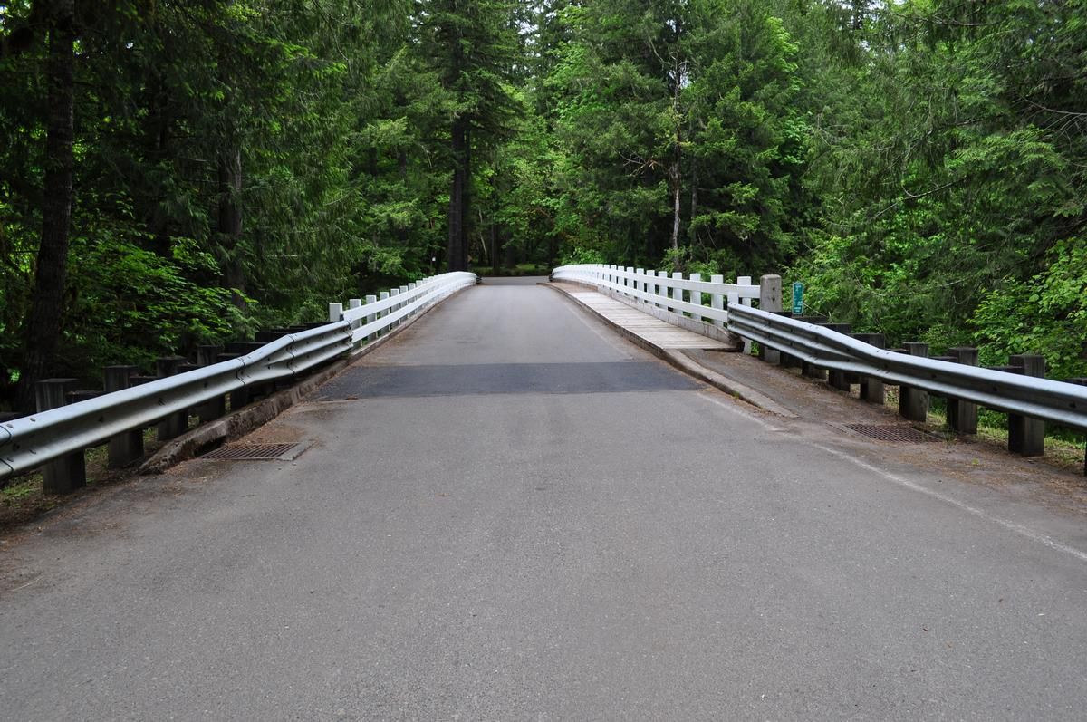 Cascadia Park Bridge 