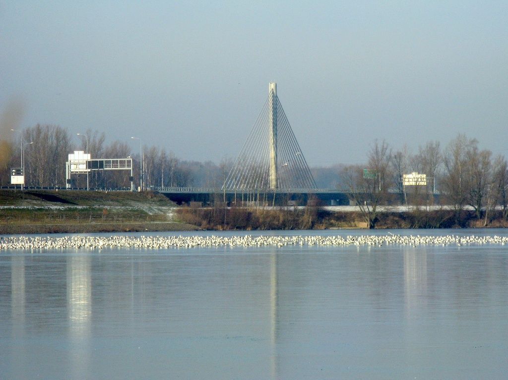 D47 Motorway cable-stayed bridge crossing the Odra river and the Antosovice lake 