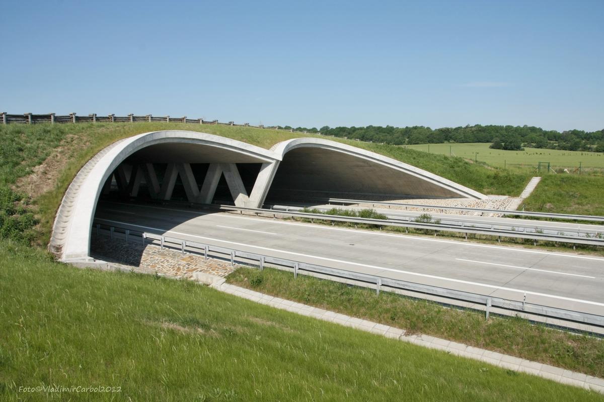 Ecoduct Over D1 Motorway near Suchdol nad Odrou 
