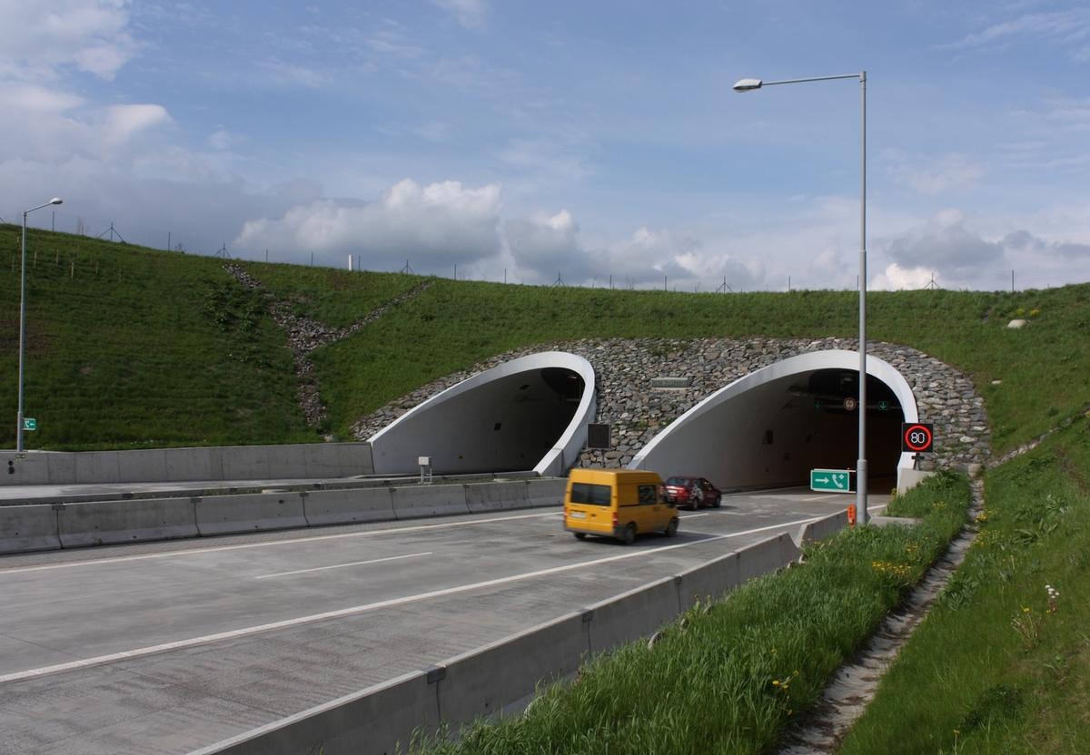 Klimkovice Tunnel - Southwestern portals 