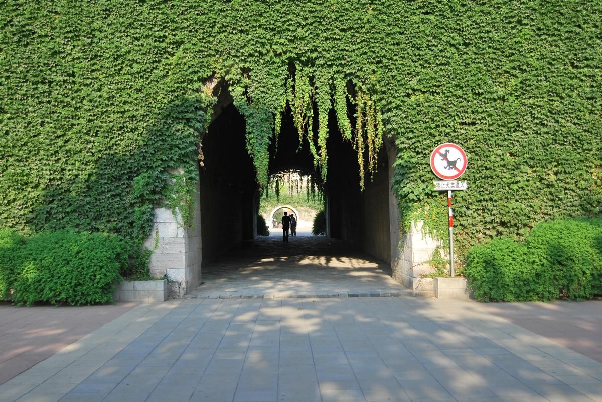 Stadtmauer von Nanjing 