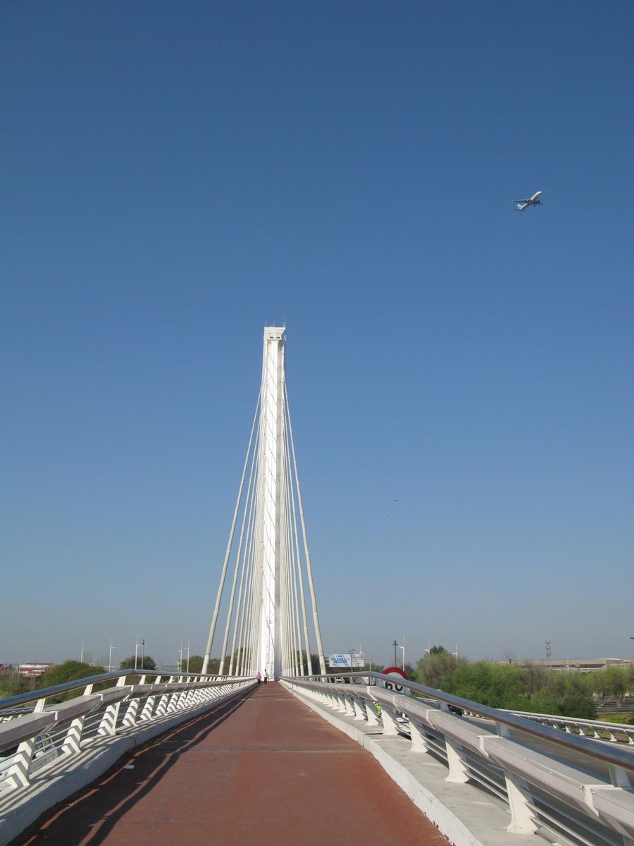 Alamillo Bridge 